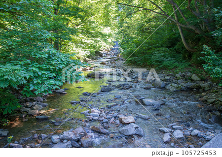 湯檜曽川に入る沢　湯吹きの滝上流　真夏の風景　みなかみ町　　 105725453