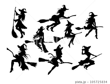 itches flying on a broomstick 105725834