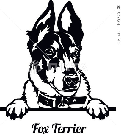 Fox Terrier Dog - Peeking Dog Breed - Pet Dog Vector Portrait, Dog Silhouette Stencil 105725900