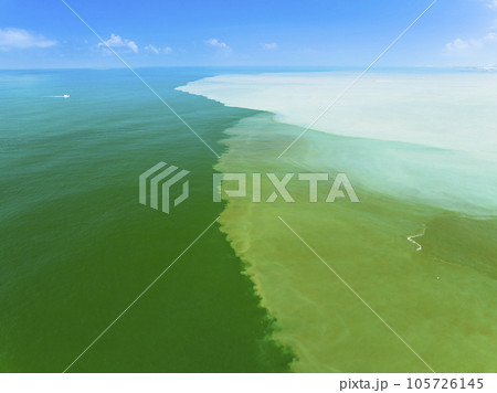 Aerial view the dirty oily stain  pollution  sea 105726145