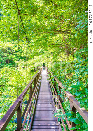 尾白川渓谷の吊橋 尾白川渓谷の吊橋 105727314