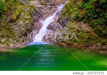 尾白川渓谷の千ヶ淵 尾白川渓谷の千ヶ淵 105727315