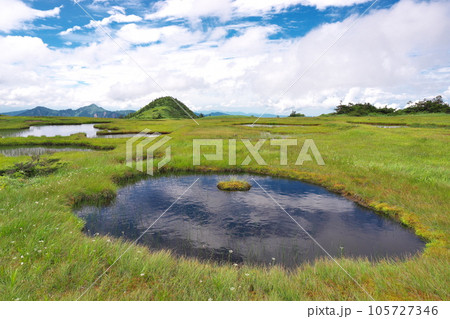 苗場山の高層湿原 苗場山の高層湿原 105727346