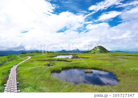 苗場山の高層湿原 105727347