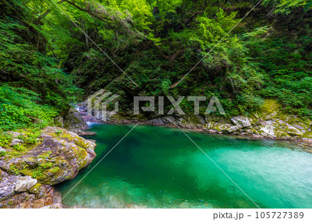 尾白川渓谷の千ヶ淵 105727389