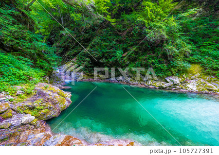 尾白川渓谷の千ヶ淵 105727391