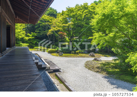 京都 泉涌寺 新緑の季節の御座所庭園 京都 泉涌寺 新緑の季節の御座所庭園 105727534