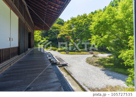 京都 泉涌寺 新緑の季節の御座所庭園 京都 泉涌寺 新緑の季節の御座所庭園 105727535