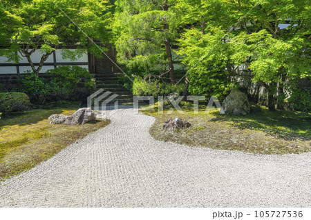 京都　泉涌寺　新緑の季節の御座所庭園 105727536