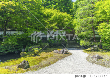 京都 泉涌寺 新緑の季節の御座所庭園 京都 泉涌寺 新緑の季節の御座所庭園 105727537