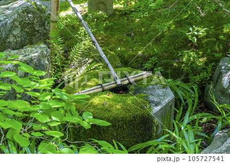 京都　泉涌寺　御座所庭園にあるつくばい 105727541