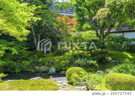 京都　泉涌寺　美しい御座所庭園　 105727543