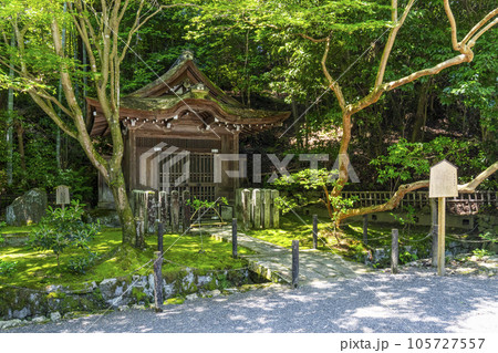 京都 新緑に包まれた泉涌寺水屋形 京都 新緑に包まれた泉涌寺水屋形 105727557