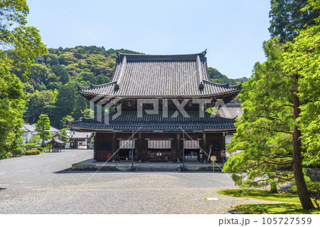 京都 泉涌寺 仏殿 京都 泉涌寺 仏殿 105727559
