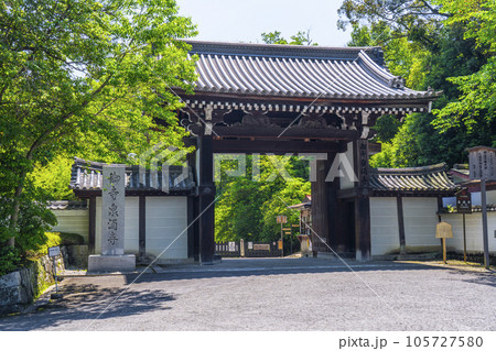 京都　泉涌寺　大門（東山門） 105727580