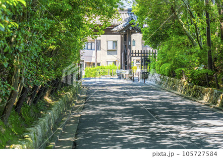 京都　新緑の木々に包まれた泉涌寺道 105727584