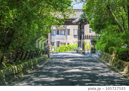 京都 新緑の木々に包まれた泉涌寺道 京都 新緑の木々に包まれた泉涌寺道 105727585