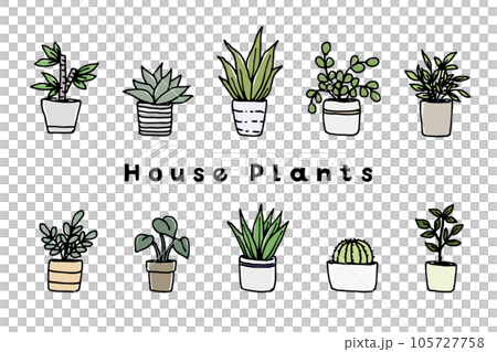 盆栽觀葉植物套裝 105727758