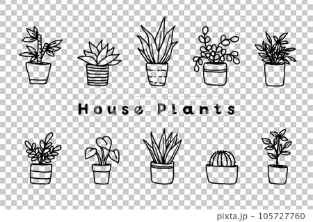 Potted foliage plant set 105727760