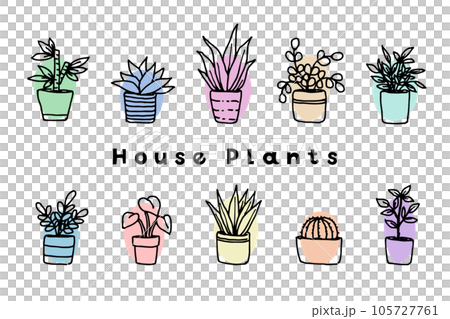 Potted foliage plant set Potted foliage plant set 105727761