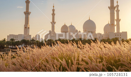 Sheikh Zayed Mosque in Abu Dhabi 105728131