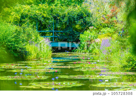 「モネの庭」マルモッタン 105728308