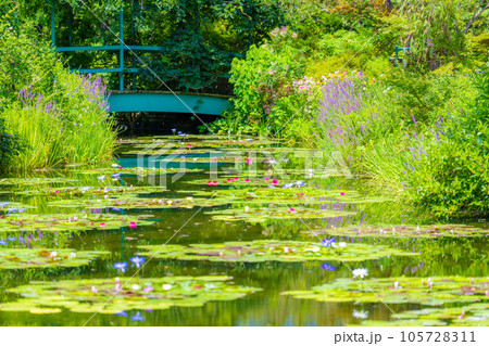「モネの庭」マルモッタン 105728311