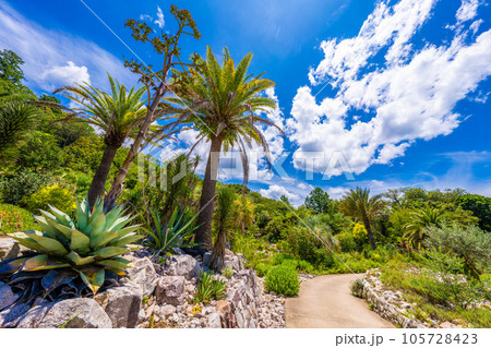 「モネの庭」マルモッタン 「モネの庭」マルモッタン 105728423