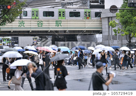 日本の東京都市景観 ゲリラ雷雨…台風接近の影響で“傘の華”。渋谷はマ無し、感染爆発はない=8月9日 日本の東京都市景観 ゲリラ雷雨…台風接近の影響で“傘の華”。渋谷はマ無し、感染爆発はない=8月9日 105729419