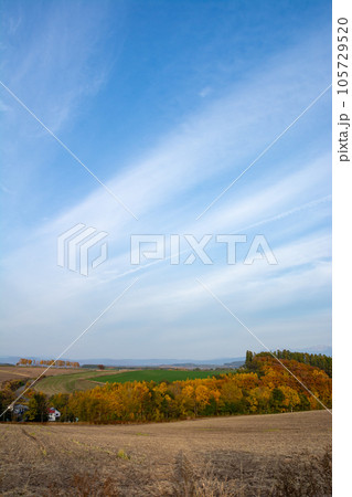 秋の丘陵地帯と青空 105729520