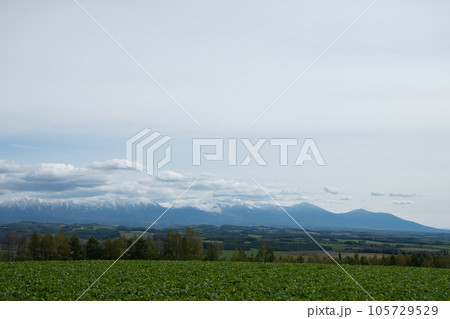 冠雪の山並みと秋の丘陵地帯 十勝岳連峰 冠雪の山並みと秋の丘陵地帯 十勝岳連峰 105729529