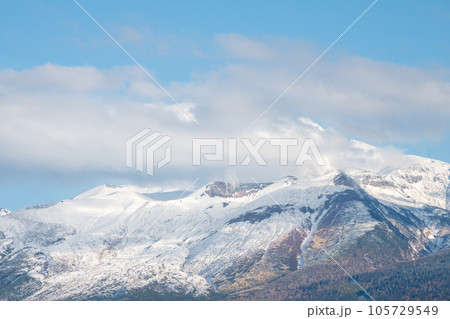 冠雪の火山の山頂と秋の森 十勝岳 冠雪の火山の山頂と秋の森 十勝岳 105729549