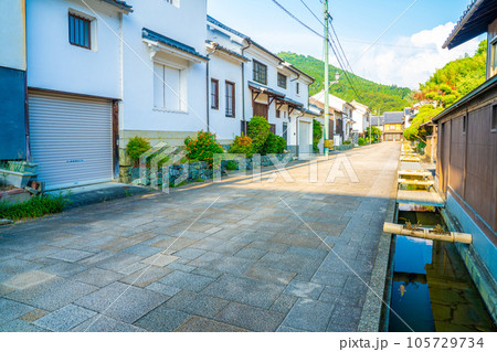 大洲のおはなはん通り 105729734