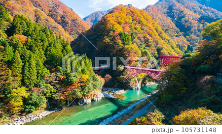 秋の黒部峡谷（黒部川と山彦橋・新山彦橋） 105731148