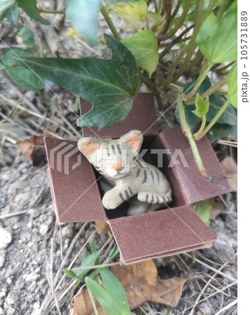 箱入り猫 105731889