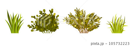 Green Bush with Leafy Stem as Outdoor Growth Vector Set 105732223