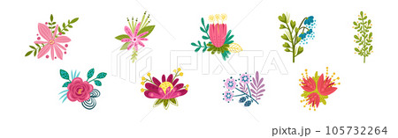 Fancy Shaped Flower Bud and Blossom Vector Set 105732264