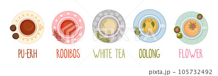 Different Herbal Tea Brewing in Cup Above View Vector Set 105732492