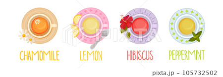 Different Herbal Tea Brewing in Cup Above View Vector Set 105732502