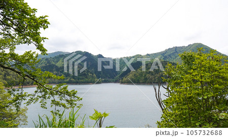 緑に覆われた湖 105732688
