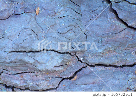 cambrian clay cambrian clay 105732911