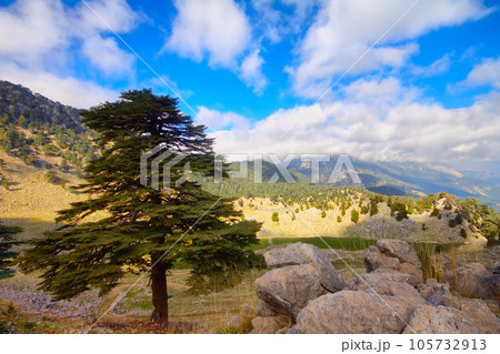 soothing mountain summer wonderful view 105732913