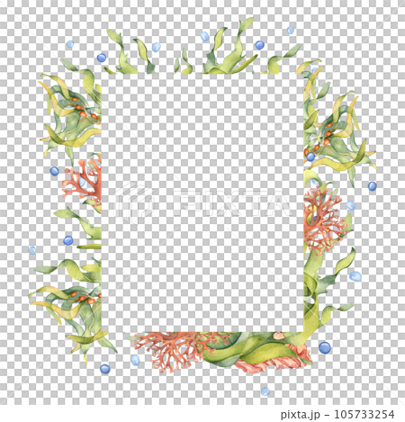 Frame of green sea plant watercolor illustration isolated on white background. Laminaria, brown kelp, red seaweed hand drawn. Design element for package, label, signboard, template, marine collection 105733254