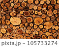 Wooden Tapestry: Artistry in Aligned Timber 105733274