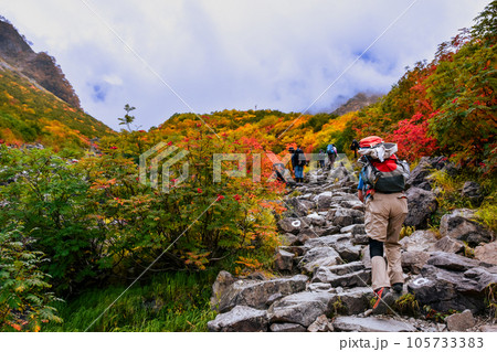 紅葉の涸沢から、紅葉に包まれる、穂高への登山道 105733383