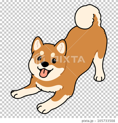 A simple and cute illustration of a Shiba Inu inviting you to play with a main line 105733508