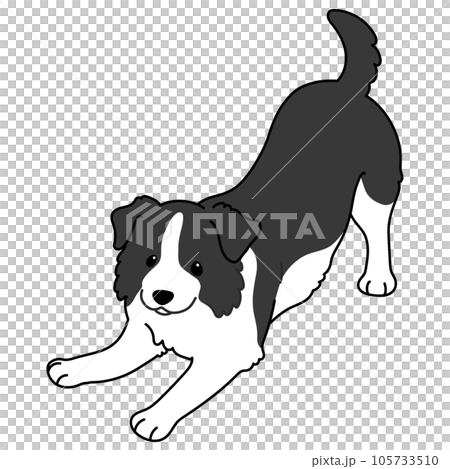 遊びに誘うシンプルで可愛いボーダーコリーのイラスト　主線あり 105733510