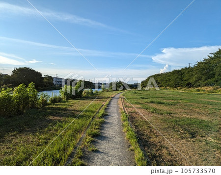 埼玉県の元荒川河川敷公園の夏の景色 埼玉県の元荒川河川敷公園の夏の景色 105733570