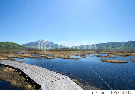尾瀬国立公園 尾瀬ヶ原の木道と湿地 尾瀬国立公園 尾瀬ヶ原の木道と湿地 105733639