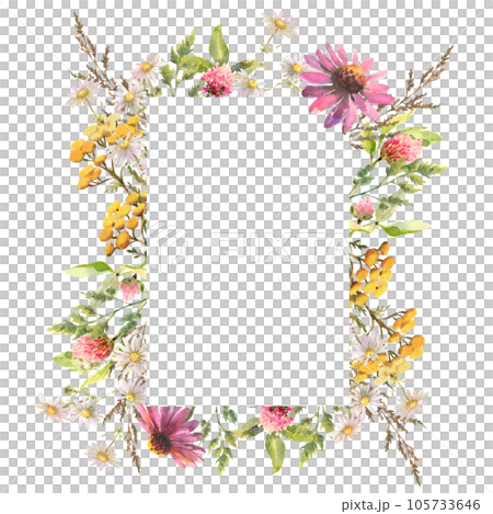 Beautiful floral frame with watercolor hand drawn summer wild field flowers. Garden floral greenery wild flowers for wedding invitation. Nature wild herbs design card template illustrations Beautiful floral frame with watercolor hand drawn summer wild field flowers. Garden floral greenery wild flowers for wedding invitation. Nature wild herbs design card template illustrations 105733646